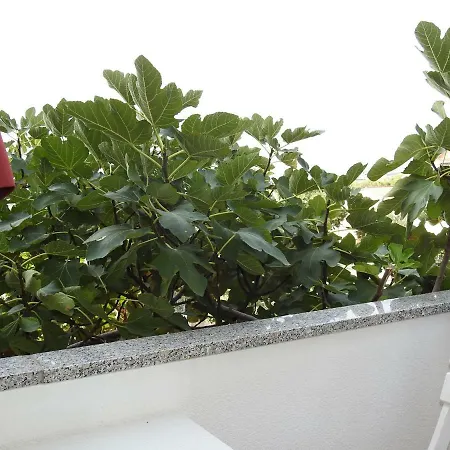 Apartman Vb Jelcic Krk