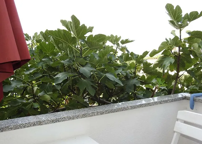 Apartment Vb Jelcic Krk